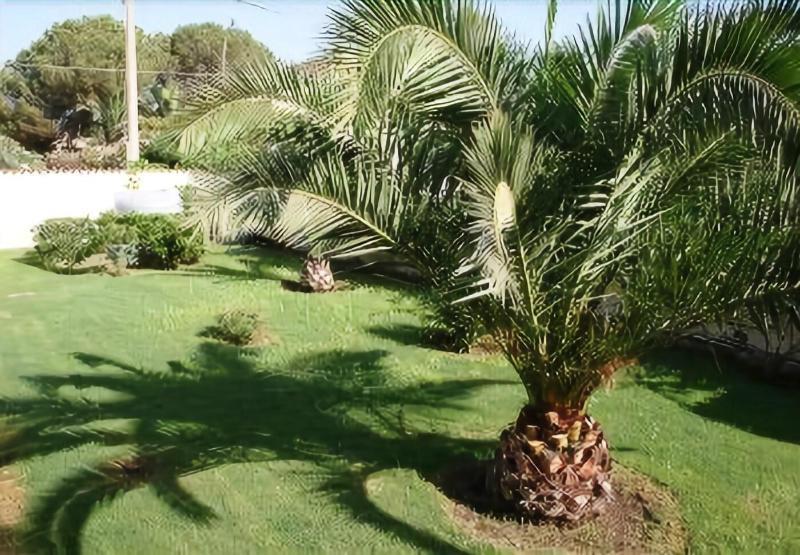 Bed And Breakfast Perla Del Sole Arenella  Extérieur photo